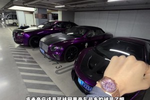 男人的梦中车库吧 吴勇豪算是篮球圈里豪车最多的球员吧..